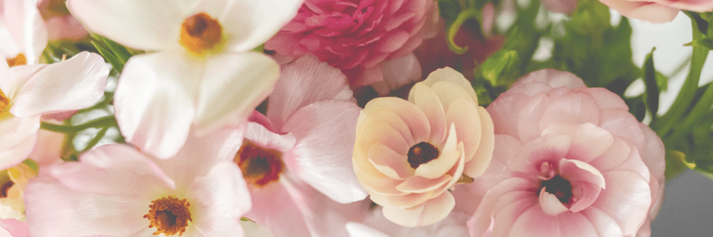 For the LOVE of&nbsp;February