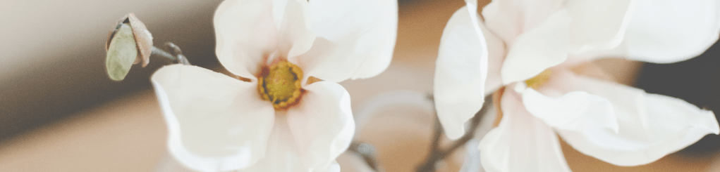 The Journey to Authentic&nbsp;Joy